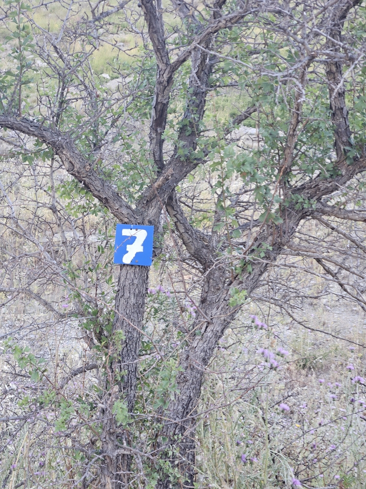 Bach im Wald auf dem Bergabschnitt Richtung Montpellier
